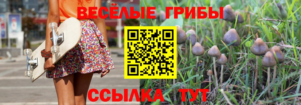 Галлюциногенные грибы Magic Shrooms Пятигорск